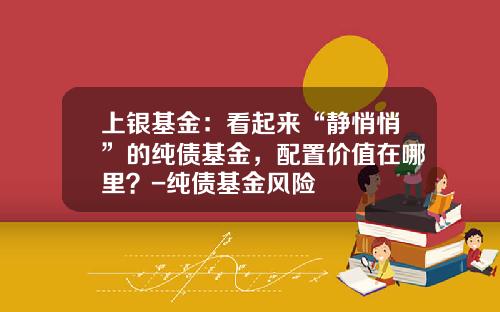上银基金：看起来“静悄悄”的纯债基金，配置价值在哪里？-纯债基金风险