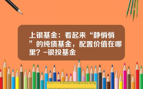 上银基金：看起来“静悄悄”的纯债基金，配置价值在哪里？-银投基金