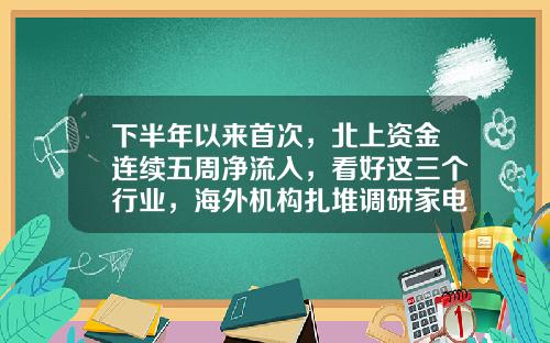 下半年以来首次，北上资金连续五周净流入，看好这三个行业，海外机构扎堆调研家电龙头-北上基金