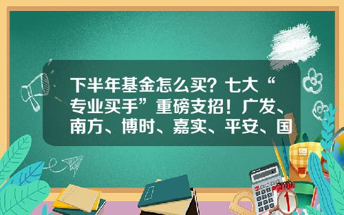 下半年基金怎么买？七大“专业买手”重磅支招！广发、南方、博时、嘉实、平安、国泰、海富通等FOF基金经理出手来了-基金宝选择