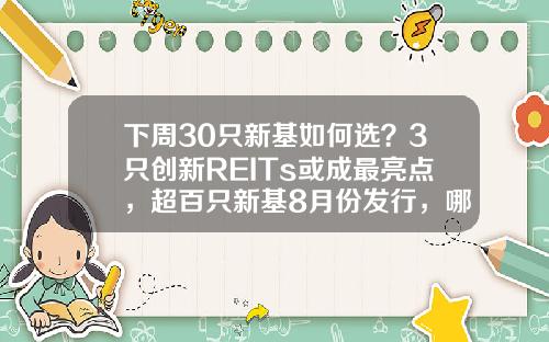 下周30只新基如何选？3只创新REITs或成最亮点，超百只新基8月份发行，哪只最吸金？-厦门稳国基金