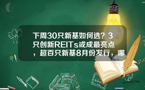 下周30只新基如何选？3只创新REITs或成最亮点，超百只新基8月份发行，哪只最吸金？-开放式基金有什么