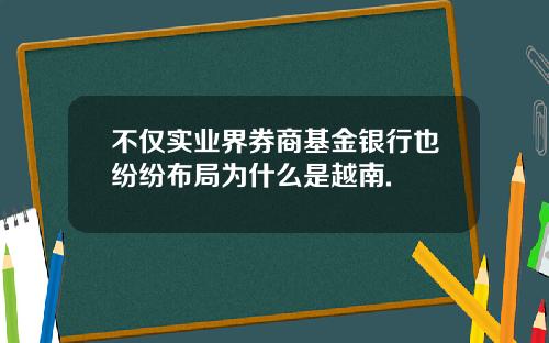 不仅实业界券商基金银行也纷纷布局为什么是越南.