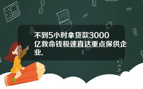 不到5小时拿贷款3000亿救命钱极速直达重点保供企业.