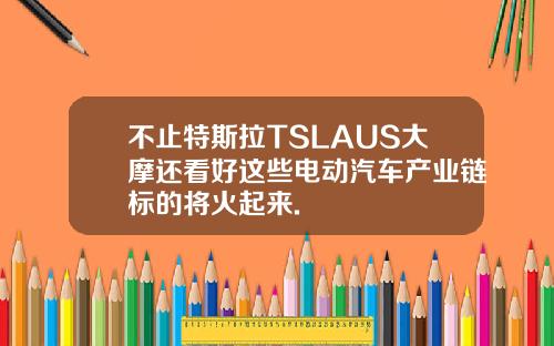 不止特斯拉TSLAUS大摩还看好这些电动汽车产业链标的将火起来.