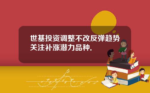 世基投资调整不改反弹趋势关注补涨潜力品种.
