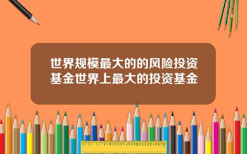 世界规模最大的的风险投资基金世界上最大的投资基金
