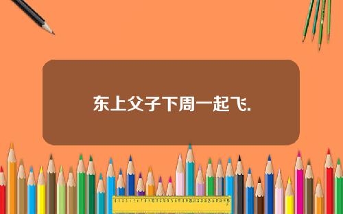 东上父子下周一起飞.