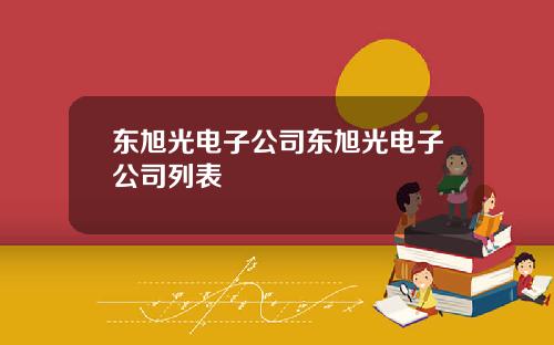 东旭光电子公司东旭光电子公司列表