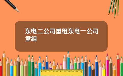 东电二公司重组东电一公司重组