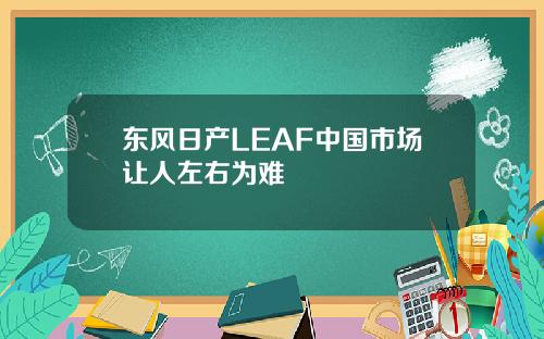 东风日产LEAF中国市场让人左右为难