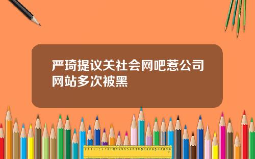 严琦提议关社会网吧惹公司网站多次被黑