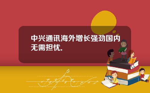 中兴通讯海外增长强劲国内无需担忧.