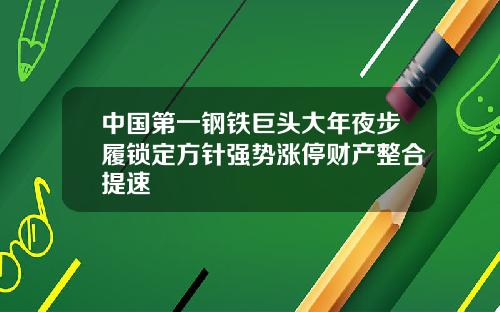 中国第一钢铁巨头大年夜步履锁定方针强势涨停财产整合提速
