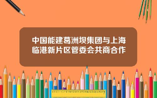中国能建葛洲坝集团与上海临港新片区管委会共商合作