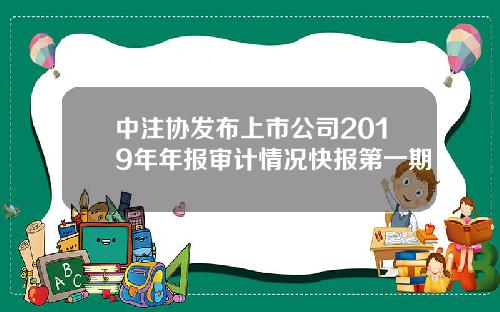 中注协发布上市公司2019年年报审计情况快报第一期