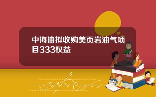 中海油拟收购美页岩油气项目333权益
