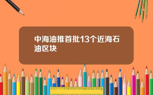 中海油推首批13个近海石油区块
