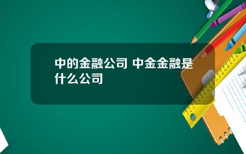 中的金融公司 中金金融是什么公司