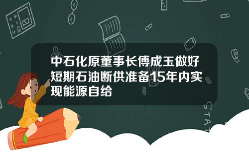 中石化原董事长傅成玉做好短期石油断供准备15年内实现能源自给