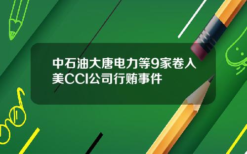 中石油大唐电力等9家卷入美CCI公司行贿事件