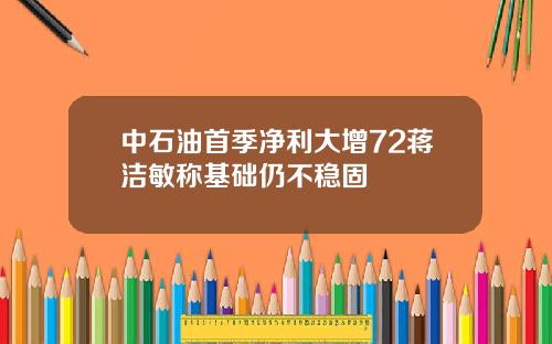 中石油首季净利大增72蒋洁敏称基础仍不稳固