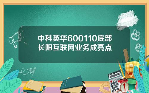 中科英华600110底部长阳互联网业务成亮点
