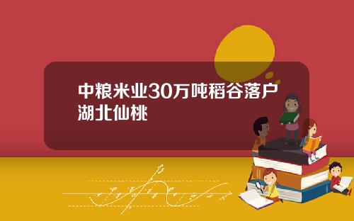 中粮米业30万吨稻谷落户湖北仙桃