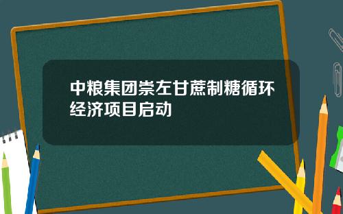 中粮集团崇左甘蔗制糖循环经济项目启动