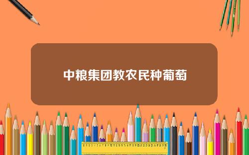 中粮集团教农民种葡萄