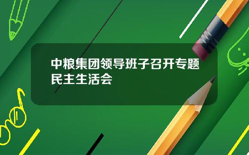 中粮集团领导班子召开专题民主生活会