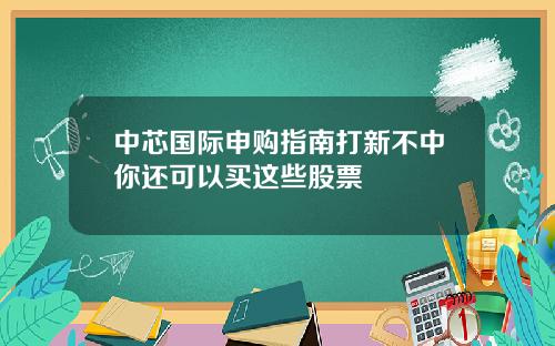 中芯国际申购指南打新不中你还可以买这些股票