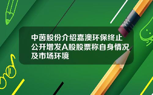中茵股份介绍嘉澳环保终止公开增发A股股票称自身情况及市场环境