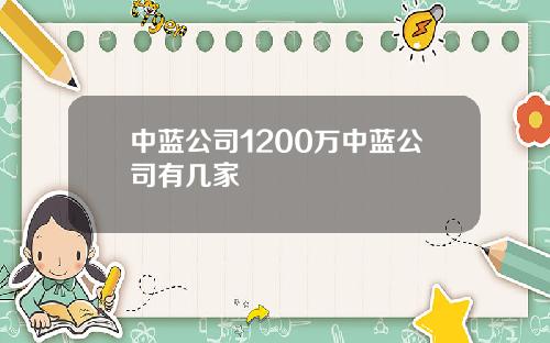 中蓝公司1200万中蓝公司有几家