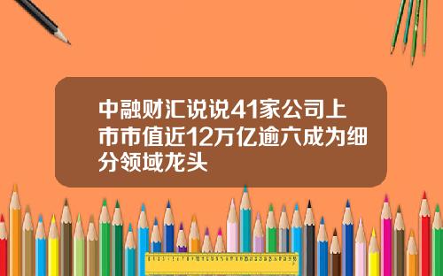 中融财汇说说41家公司上市市值近12万亿逾六成为细分领域龙头