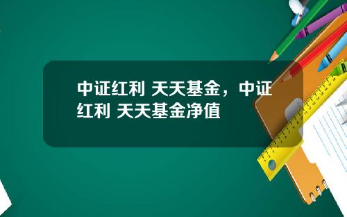 中证红利 天天基金，中证红利 天天基金净值