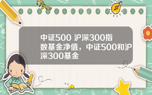 中证500 沪深300指数基金净值，中证500和沪深300基金