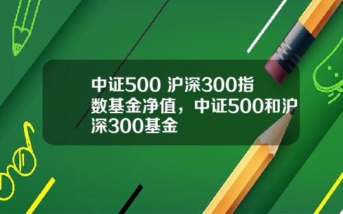 中证500 沪深300指数基金净值，中证500和沪深300基金
