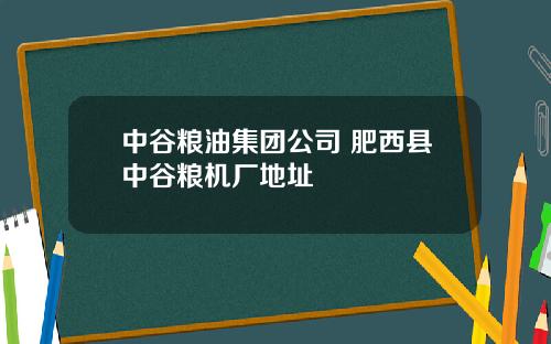 中谷粮油集团公司 肥西县中谷粮机厂地址