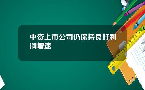 中资上市公司仍保持良好利润增速