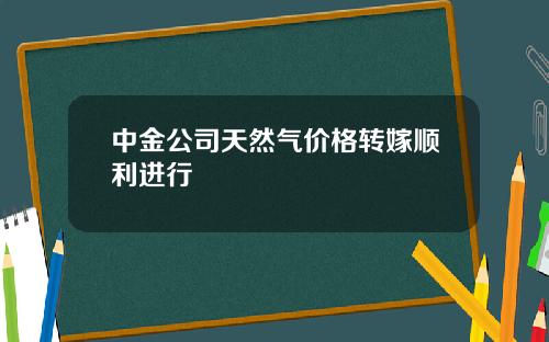 中金公司天然气价格转嫁顺利进行