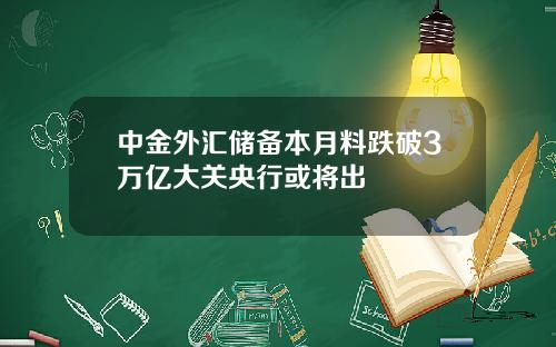 中金外汇储备本月料跌破3万亿大关央行或将出