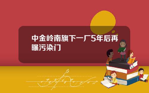 中金岭南旗下一厂5年后再曝污染门