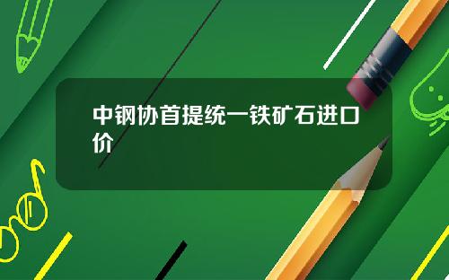 中钢协首提统一铁矿石进口价