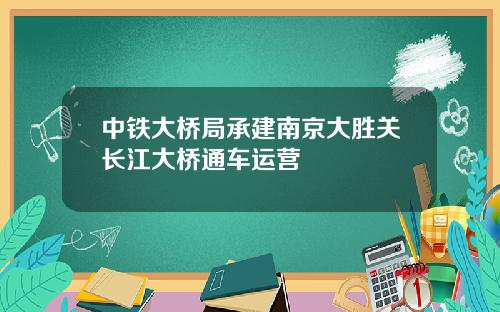 中铁大桥局承建南京大胜关长江大桥通车运营