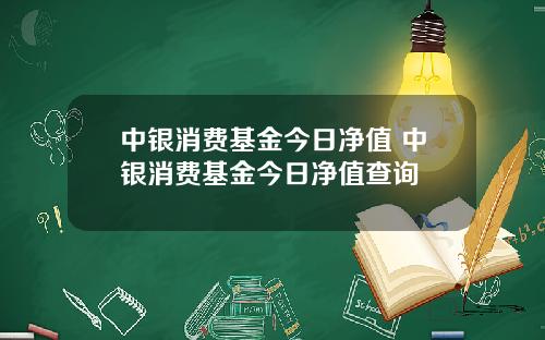 中银消费基金今日净值 中银消费基金今日净值查询