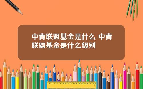 中青联盟基金是什么 中青联盟基金是什么级别