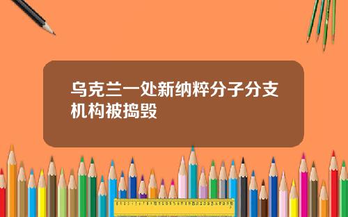 乌克兰一处新纳粹分子分支机构被捣毁