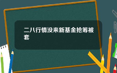 二八行情没来新基金抢筹被套