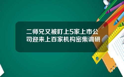 二师兄又被盯上5家上市公司迎来上百家机构密集调研